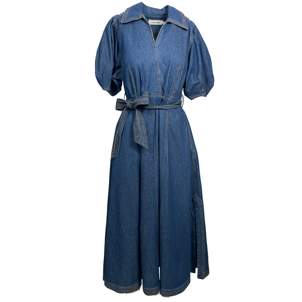 Cefinn Wren Denim Collared Maxi Dress